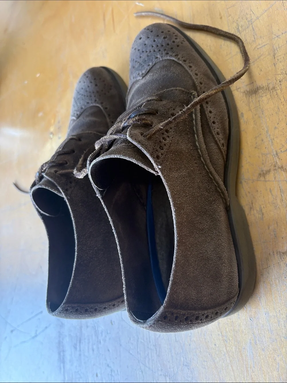 Sperry Topsider Men’s Brown Suede Wingtip Oxford